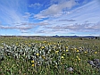 /assets/sr/images/gallery/iceland/big/Island_Sven_2010_0402.JPG